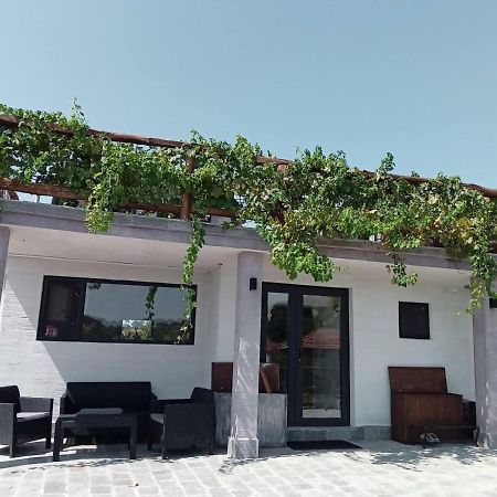 Kamilski Dol Namaste Къща В Село Камилски Дол מראה חיצוני תמונה