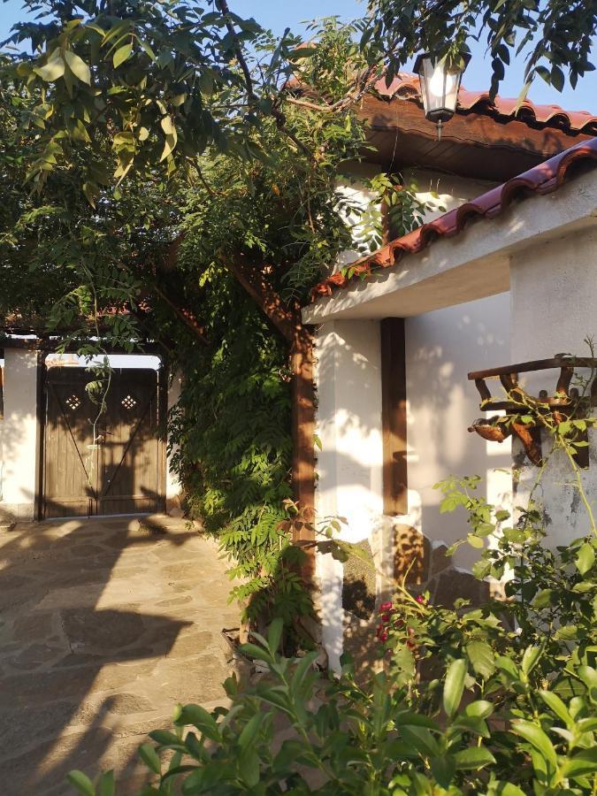Kamilski Dol Namaste Къща В Село Камилски Дол מראה חיצוני תמונה