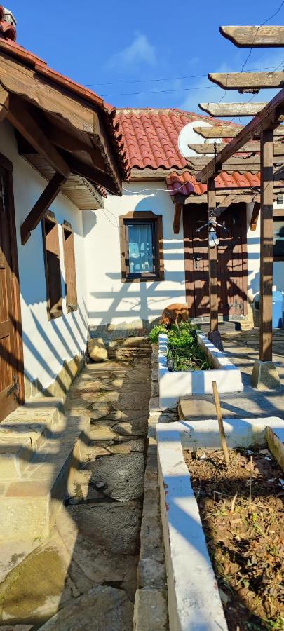 Kamilski Dol Namaste Къща В Село Камилски Дол מראה חיצוני תמונה